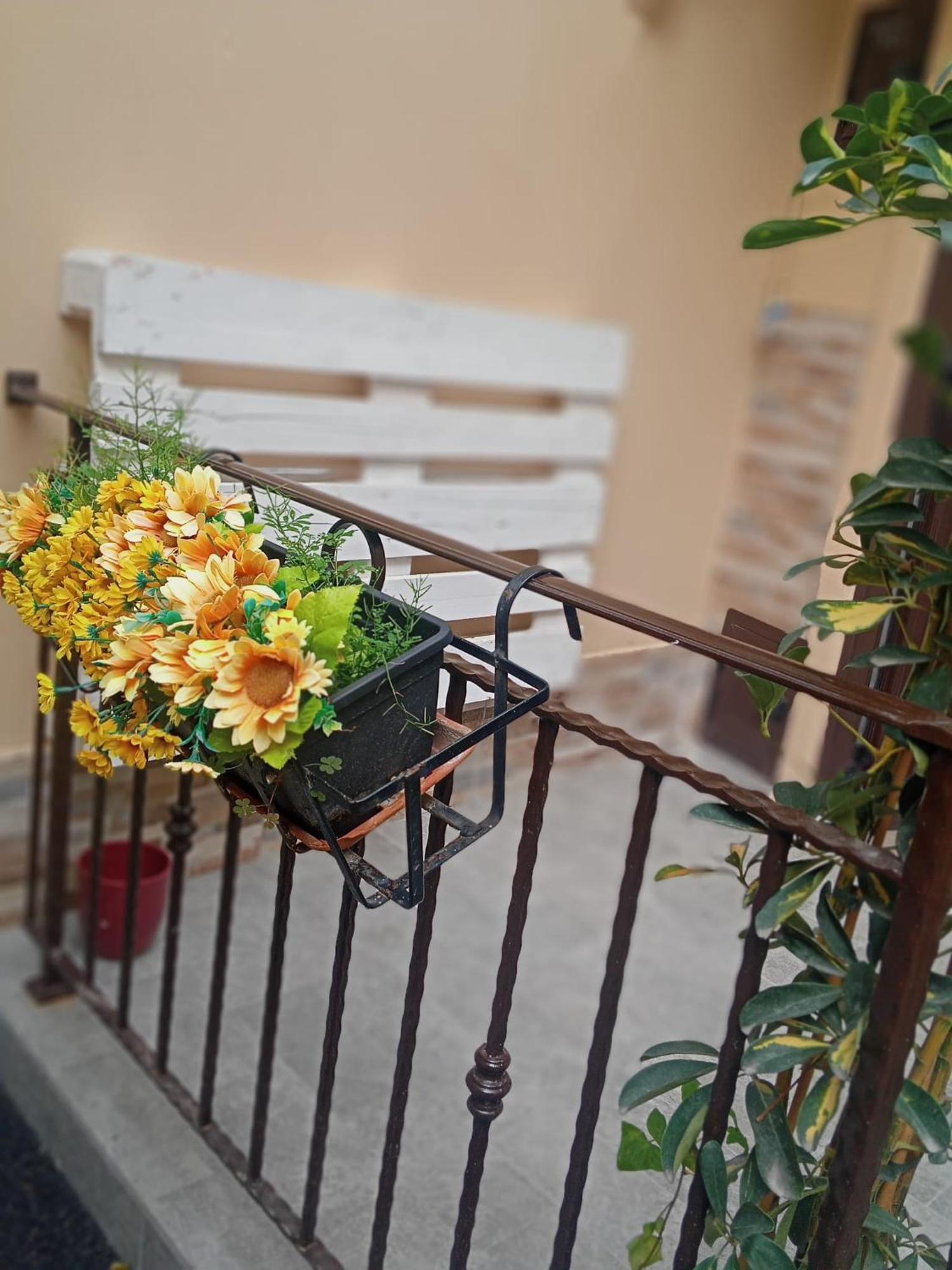 Al Cortile Del Capo Βίλα Παλέρμο Εξωτερικό φωτογραφία